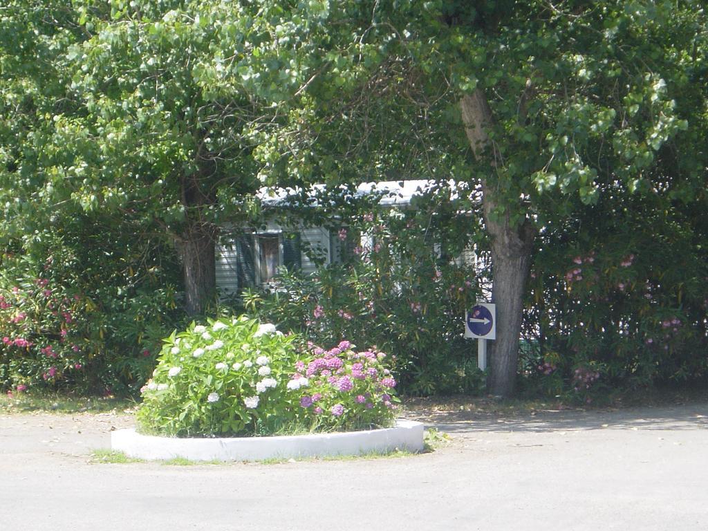 Camping Camping Benista