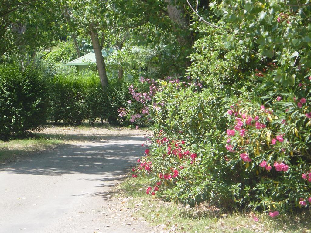 Camping Camping Benista Ajaccio (Corsica)