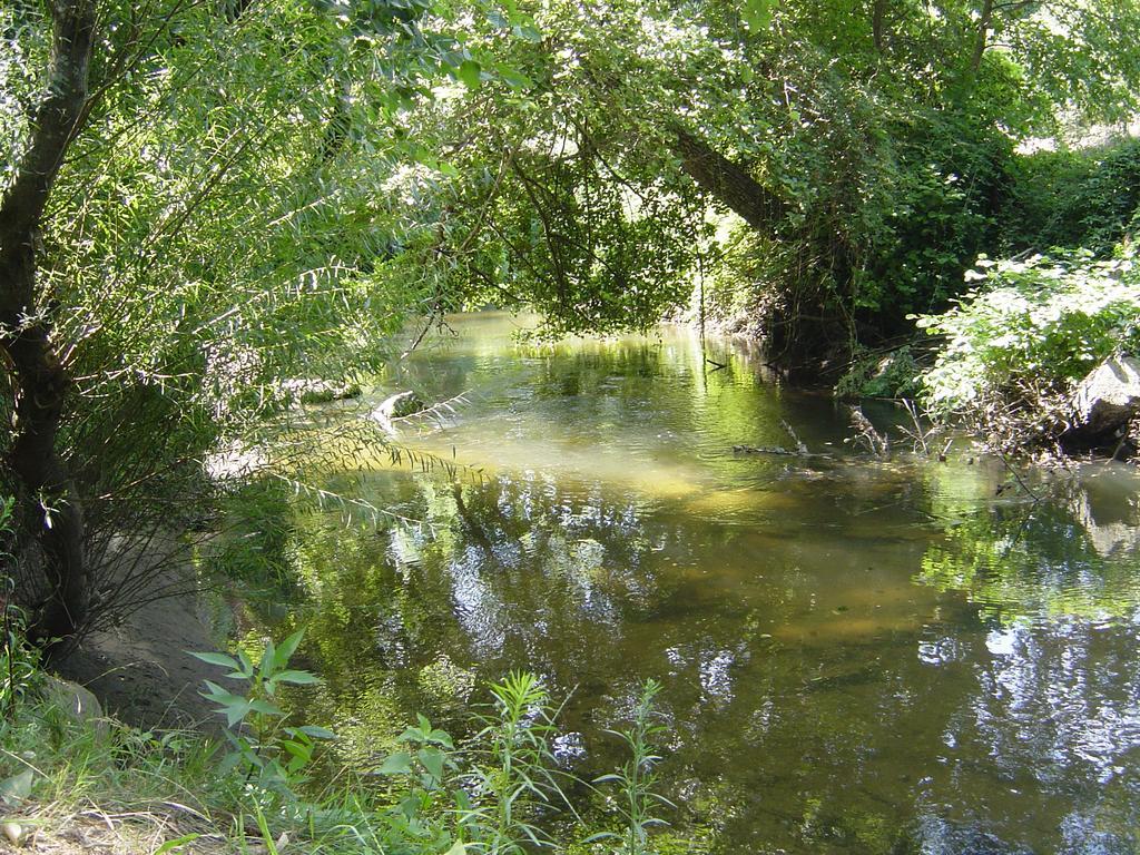 Camping Benista