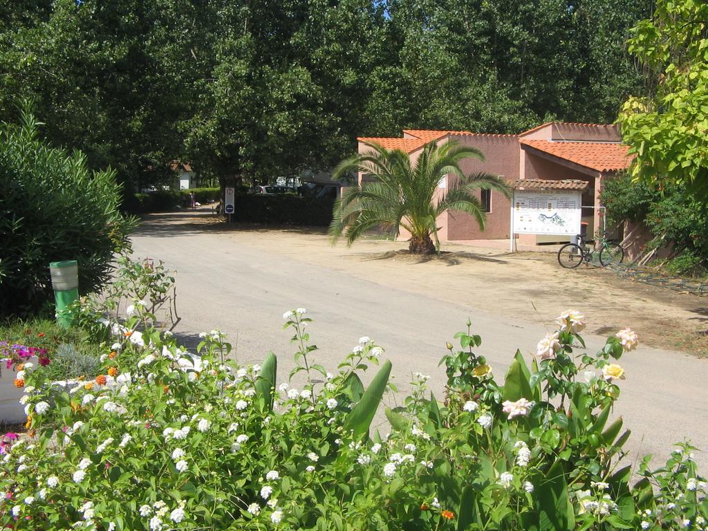 Camping Benista Ajaccio (Corsica)