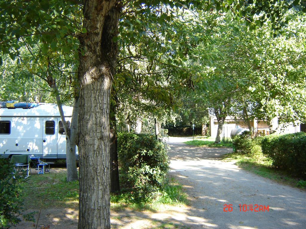 Camping Camping Benista